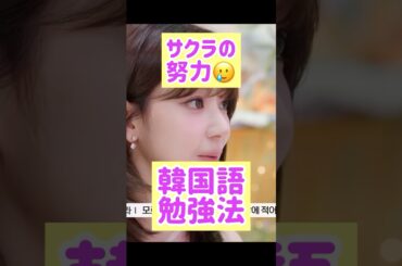 宮脇咲良さんの地道な努力がすごかった @nanasensei777 #韓国語 #lesserafim #twice