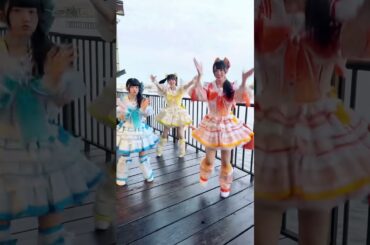 🪽🐰🐻 #ilife #idol #アイドルライフエクストラパック