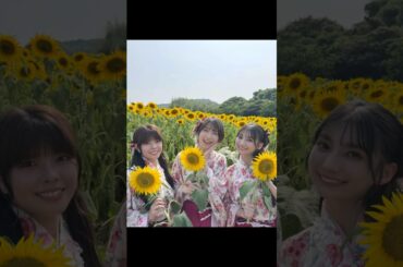 ひまわりのように明るい笑顔の温泉むすめ #南知多町 #花ひろば #松井恵理子 #松田颯水 #高野麻里佳