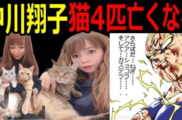 【中川翔子】猫4匹が8ヵ月間で亡くなる…復活のグミを食べてくれ!! #ドラゴンボール  #中川翔子