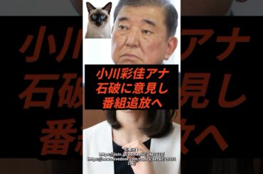 小川彩佳アナ、石破総理に意見し番組追放されてしまう #shorts #石破政権 #news23