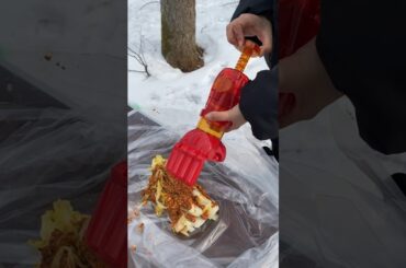 雪山で特別なキムチを手作りする‼︎ Make special kimchi on a snowy mountain! #outdoor #asmr #easelartstudio