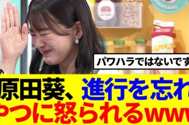 【ぽかぽか】原田葵、進行を忘れやつに怒られるwww