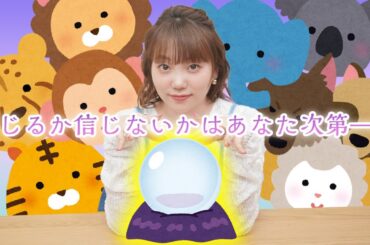 【動物占い】隠れた性格が丸わかり？？