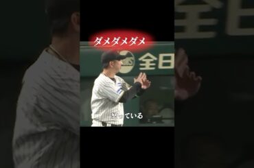 藤川監督のナイス抗議が光ったこのシーン #プロ野球 #野球