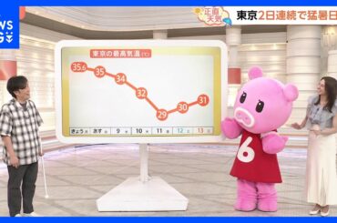【7月8日 関東の天気】猛烈な暑さいつまで続く？｜TBS NEWS DIG