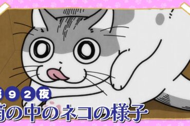 アニメ『夜は猫といっしょ』第92夜「箱の中のネコの様子」