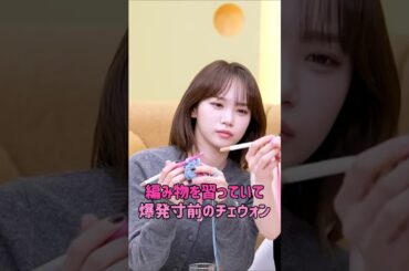 [LE SSERAFIM]  編み物を習っていて爆発寸前のチェウォン…