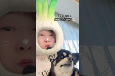 夏野菜のポン酢おろし＆厚揚げ肉巻き＆鮭のり弁　　　#shorts #リーマンパパ弁当 #料理 #寝坊