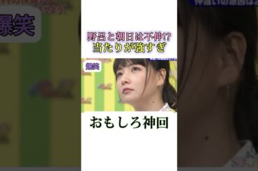 野呂と朝日は不仲だった！？　#面白い #千鳥 #お笑い #爆笑 #ゴッドタン #可愛い#アイドル#shorts