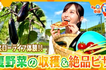 自然の中でスローライフを満喫！夏野菜の収穫体験＆新鮮野菜を使ったピザの手作り体験【す・またん！】