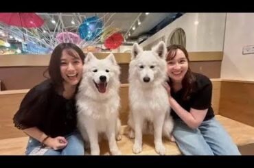 🎀田村真子アナの“癒しオフショット”公開🌿ドナルドより誰に手を振ってたの⁉️千尋＆メグとの休日が可愛すぎる💐✨