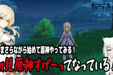 【原神】いまさらながら始めて原神やってみる!初見原神すげーってなっている!