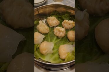 #大門 #浜松町 #街中華 もう20年以上通ってるお店。とても美味しいのよ。#シュウマイ# #焼売 #坂ノ上茜 #shorts