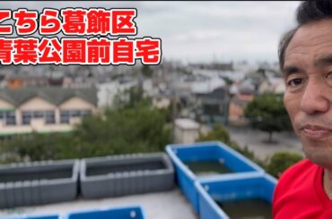 左右対決か新旧対決か