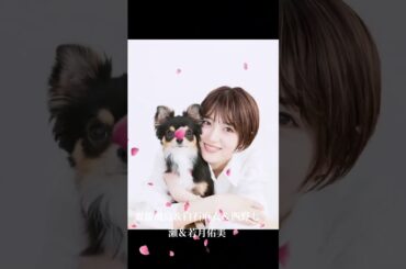 齋藤飛鳥＆白石麻衣＆西野七瀬＆若月佑美 #素敵