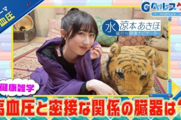 今週のテーマ『血圧』／涼本あきほ【提供：GMOクリック証券】