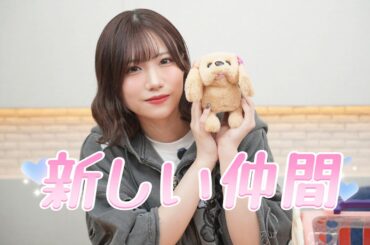 どうやらPが疲れているようです