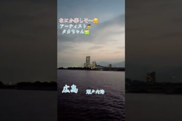 なにか楽しそ〜🤗広島　瀬戸内海#広島#平和#感謝#ありがとう#瀬戸内海#放浪の画家#アーティスト#タカちゃん#春川隆