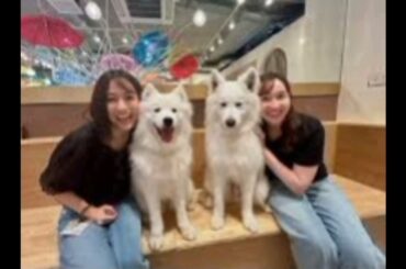 tbs田村真子アナ 同期人気アナや仲良しタレントとの「あれこれ」オフショ大公開 「可愛さ半端ない」