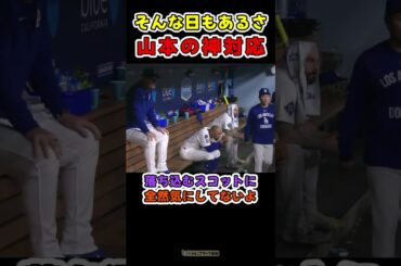 悲しい気持ちを抑え、仲間に気を使う山本【ドジャース山本由伸＆大谷翔平】 #野球