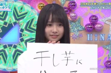 日向坂46日向坂で会いましょう 2025 🌷🌷🌷 日向坂46年表に入れたい事件簿!