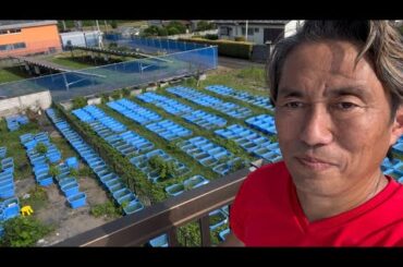 消費税を減税する余力があるならそれを子供達に使って欲しい、少しでも美味しいものを腹一杯食べさせたいし教育を受けることにお金で困らせたくない