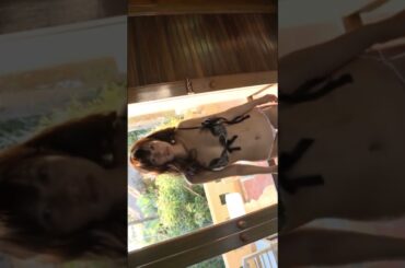 Lingerie and 石岡真衣さん #shorts #石岡真衣