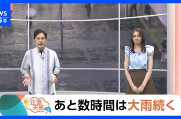 【7月11日 関東の天気】あと数時間は大雨続く｜TBS NEWS DIG