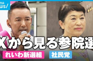 【各党X分析】れいわは“一点突破”の投稿傾向 社民はポスト数“3600回超”の候補者も【参院選2025】