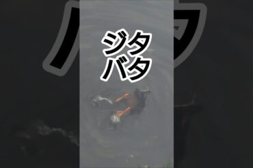 ドラえもんのテーマ曲　〜歌詞に合わせてシリーズ〜