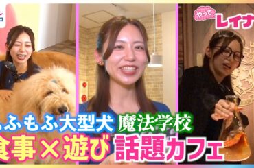 小山内鈴奈アナが"知らない誰か"と秘密の文通で涙！？魔法学校に没入＆サモエドとふれあいながらビュッフェ満喫！食事×遊びが一石二鳥で楽しめる話題のカフェを体験リポート【やってレイナ！】