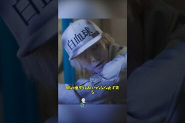 抗がん剤が効かないみたいですね！/はたらく細胞 / 佐藤健 / 芦田爱菜 / 阿部隆史 / 山本耕史 / 仲里依纱 / #shorts #movie