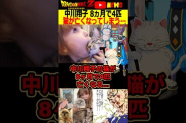 【中川翔子】飼い猫が8ヵ月で4匹亡くなってしまう…#ドラゴンボール #shorts  #中川翔子