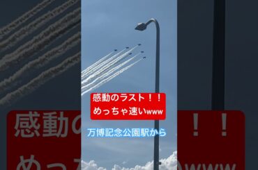 【感動のラスト】速すぎる！！！ブルーインパルスついに飛行の瞬間！！！#shorts #ブルーインパルス #飛行　#万博公園 #エキスポ