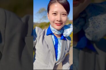 #GRANDCHARIOT北斗七星 💫🩵#PR #allnipponairways #NARUTO #ドラゴンクエスト #クレヨンしんちゃん #ハローキティ