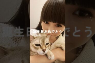 2025年07月19日 Perfume かしゆかさんのインスタグラム投稿・他～Happy Birthday Lyon🤍12th Anniversary 🫧どんな瞬間も逃さないようにそばにいるからね🤝🏻