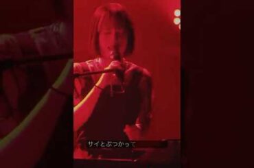 ゴリラとサイ/MS.NONDE