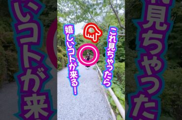 見ちゃったら⚠️嬉しい奇跡が来る‼️チャンネル計270万人登録の波動送り🎁あなたに届け🩷 #スピリチュアル #love #奇跡