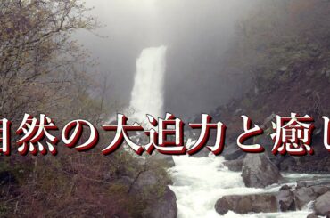 【自然の大迫力と癒しの融合】【感動の新潟・長野旅】落差５５メートルから轟音とともに流れ落ちる大水流。まさに「地震滝」と呼ばれるほどの大迫力。小林一茶もこの滝を見て感動して俳句を読んだ『苗名滝』