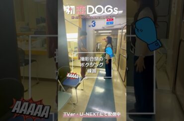『#初恋DOGs』メイキング🐶ボクシング練習?🤛#清原果耶 #成田凌
