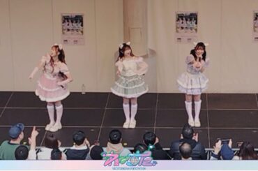 わーすた　リリイベはスマホのみ撮影可 2024/02/17