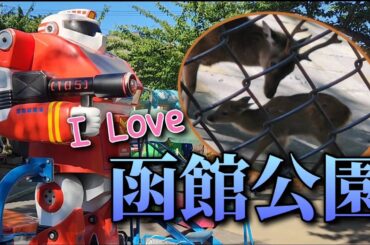 【函館公園 2025年7月】ヤクシカの赤ちゃんと『こどものくに』のレトロ遊具(R40’s ⑧-1)