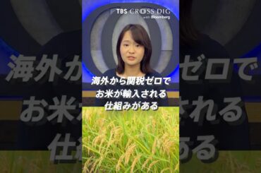 コメ輸入の枠組「ミニマムアクセス」とは？| TBS CROSS DIG with Bloomberg