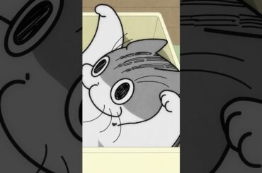 ネコと箱を奪い合う