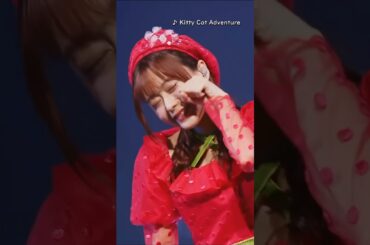 Kitty Cat Adventure #水瀬いのり #いのりん #ライブ