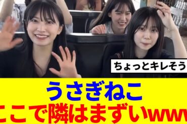 【櫻坂46】うさぎねこ、ジェットコースターで隣はまずいwww
