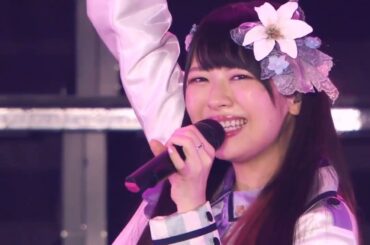 ALSTROEMERIA : Double Effect