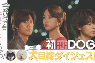 『初恋DOGs』1～4話 犬目線ダイジェスト【TBS】