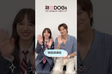 ナ･イヌが教える韓国語講座👨‍🏫『#初恋DOGs』🐕#清原果耶 #ナイヌ